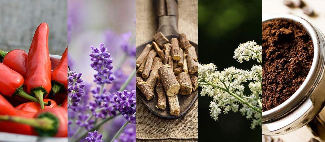 Annorlunda snussmaker