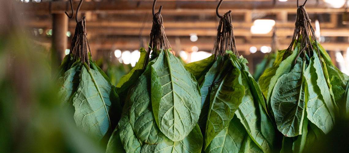 Vårgårda snusfabrik