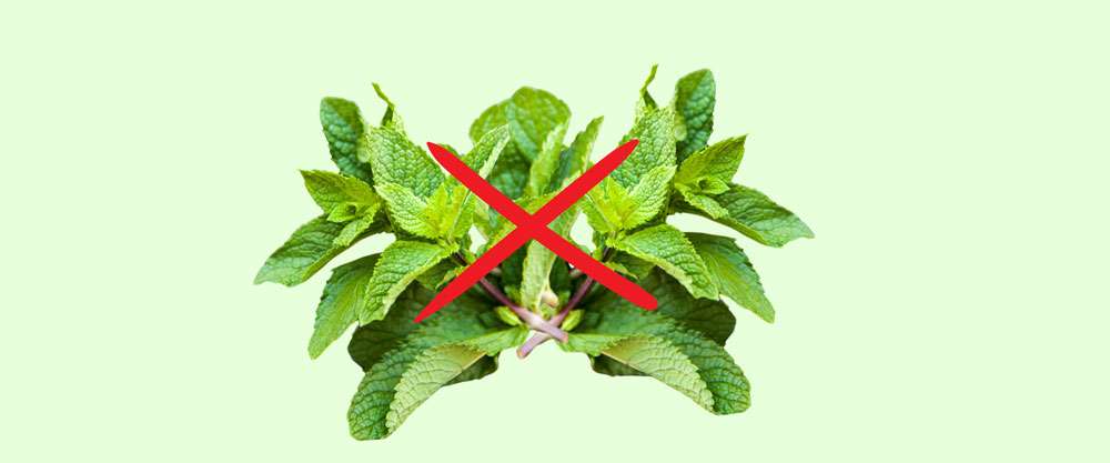 Förbud mot vissa smaker i uppvärmd tobak