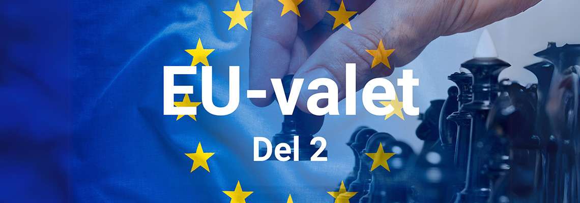 Inför EU-valet – Det här säger politikerna