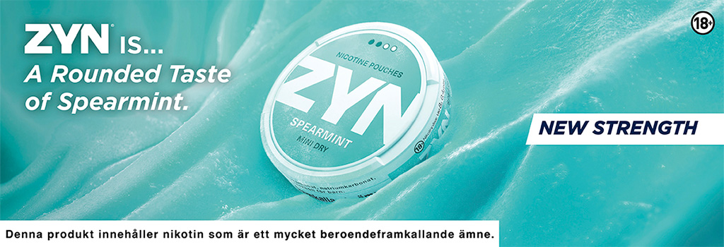 ZYN Spearmint Mini Dry